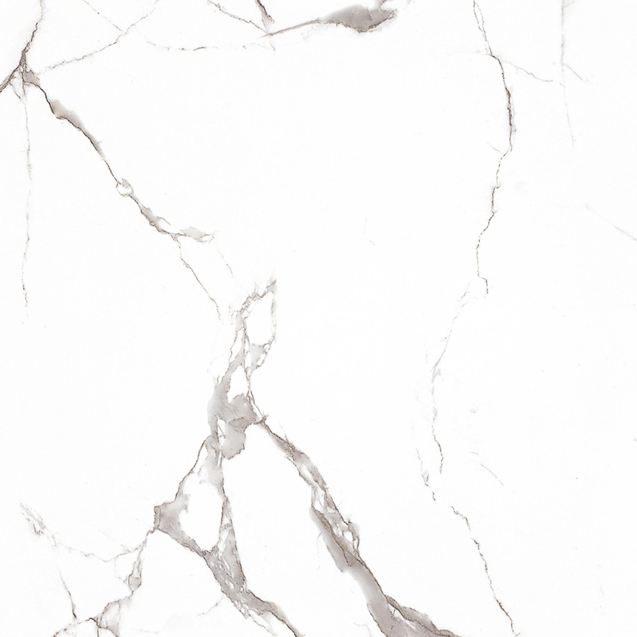 Bianco Calacatta White Tiles